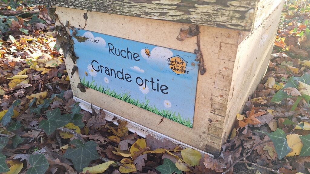 La ruche Grande ortie