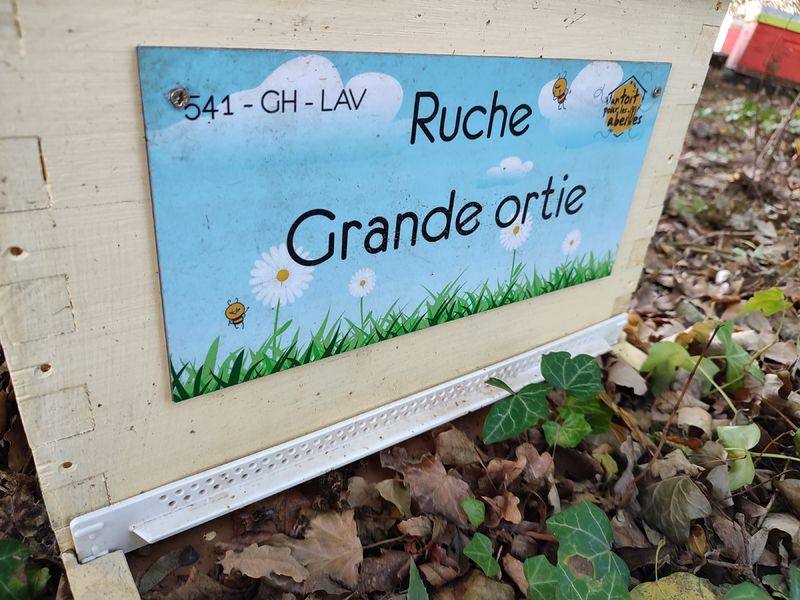 La ruche Grande ortie
