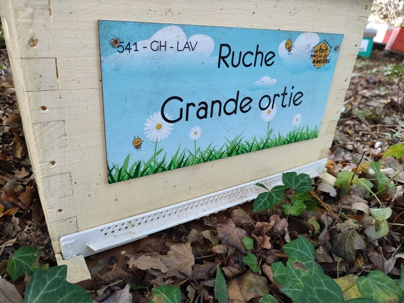 La ruche Grande ortie