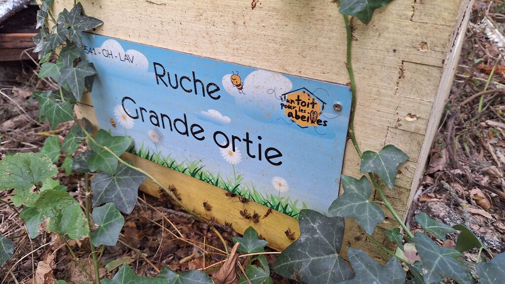 La ruche Grande ortie