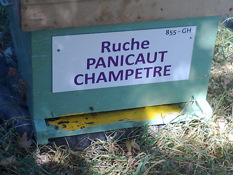 La ruche 