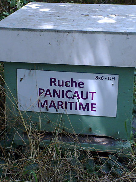 La ruche