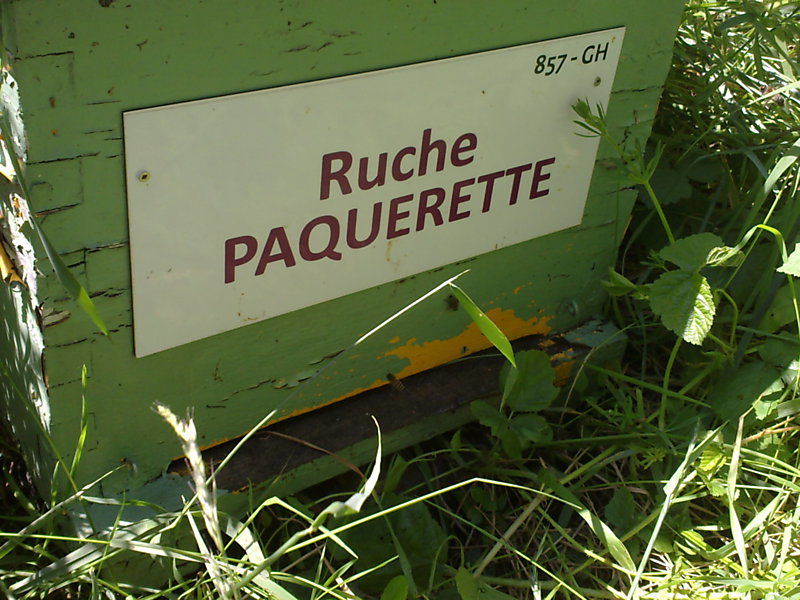 La ruche Paquerette