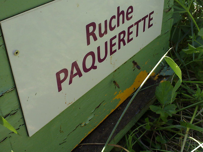 La ruche Paquerette