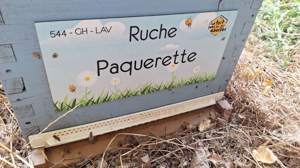 La ruche Paquerette
