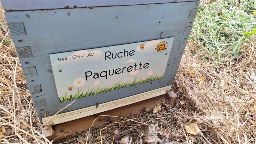 La ruche Paquerette