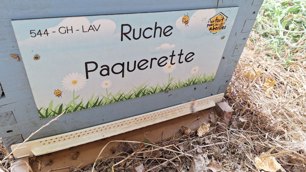 La ruche Paquerette