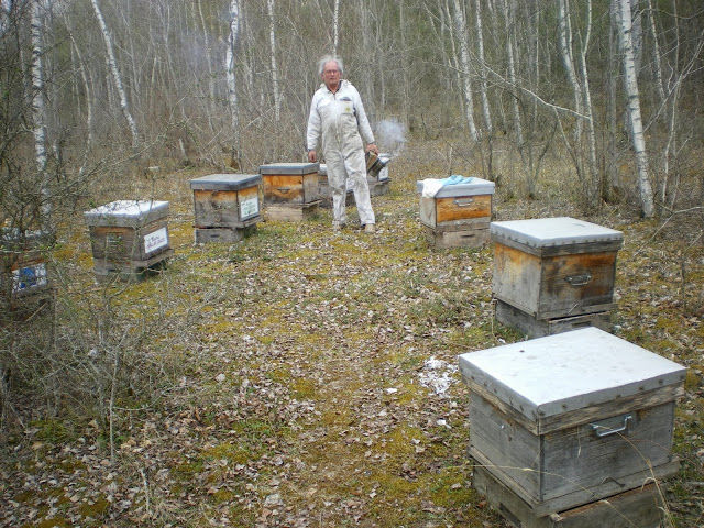 La ruche Pensée sauvage