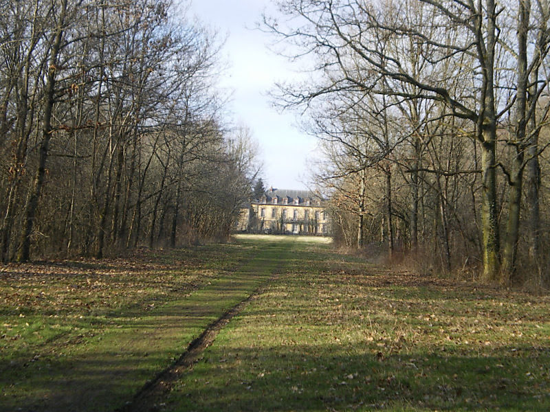 La ruche Pensée sauvage