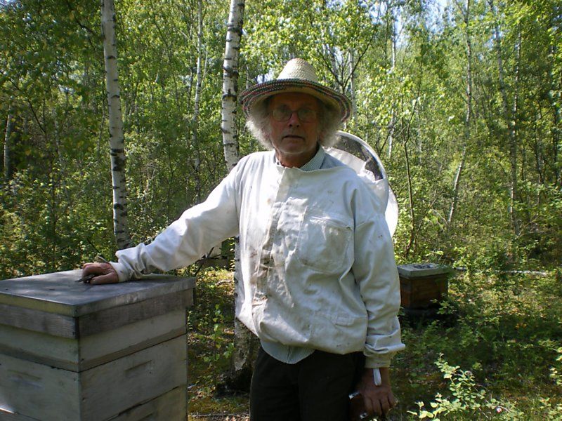 La ruche Pensée sauvage