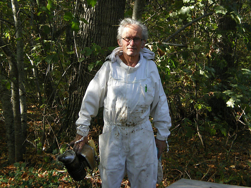 La ruche Pensée sauvage