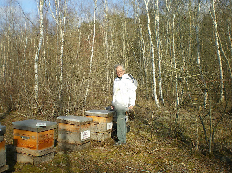 La ruche Pensée sauvage