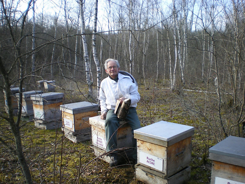 La ruche Pensée sauvage