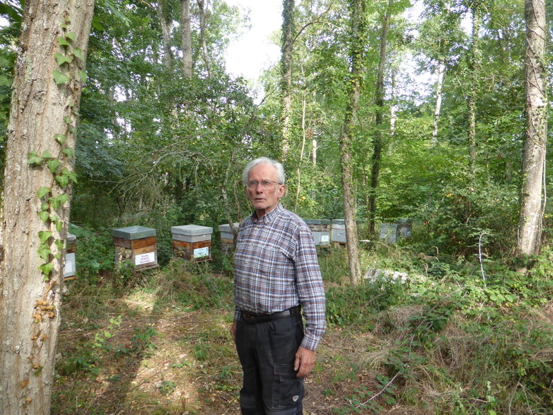 La ruche Pensée sauvage