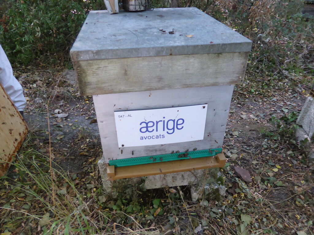 La ruche AERIGE AVOCATS