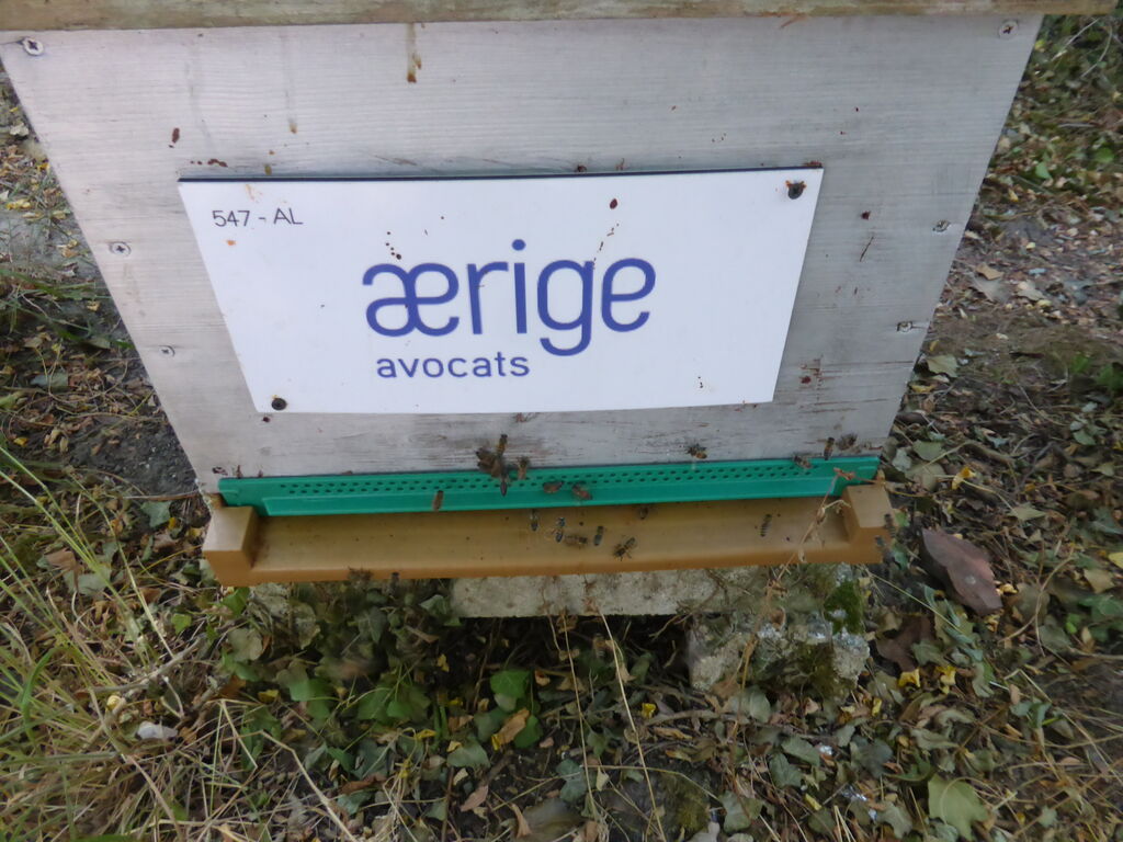La ruche AERIGE AVOCATS