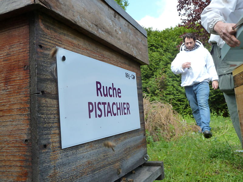 La ruche