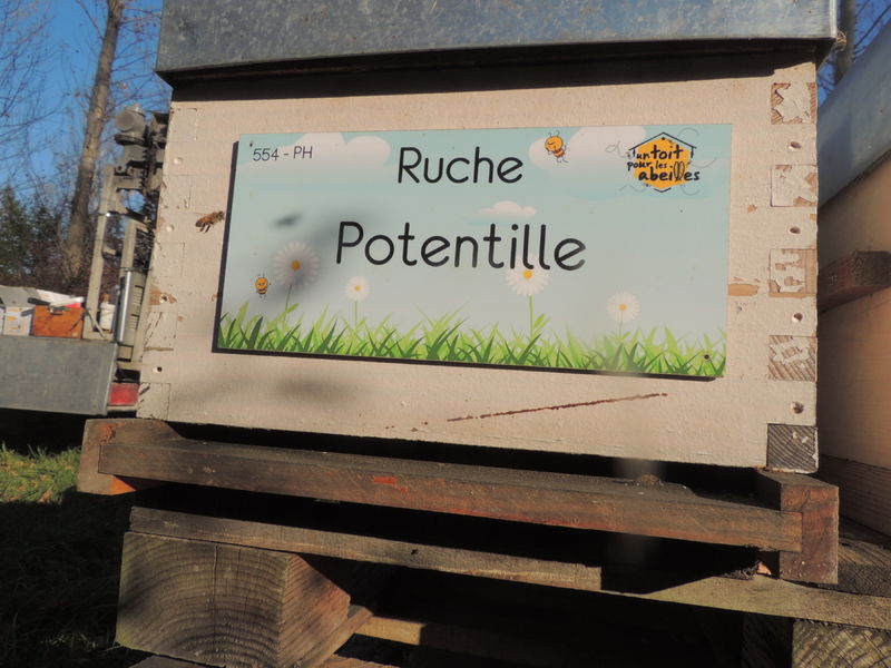 La ruche