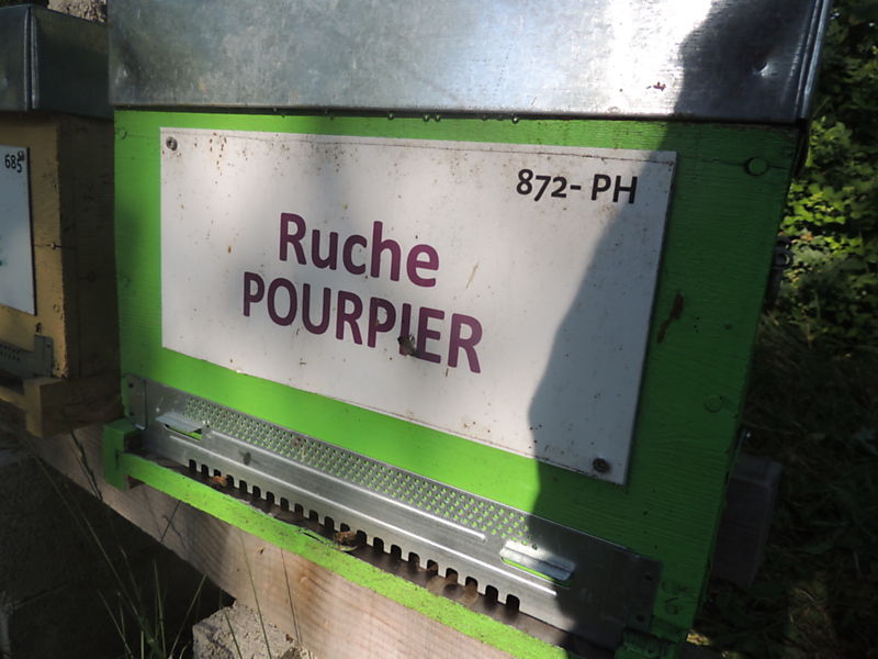 La ruche