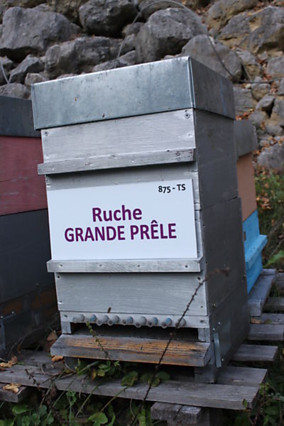 La ruche