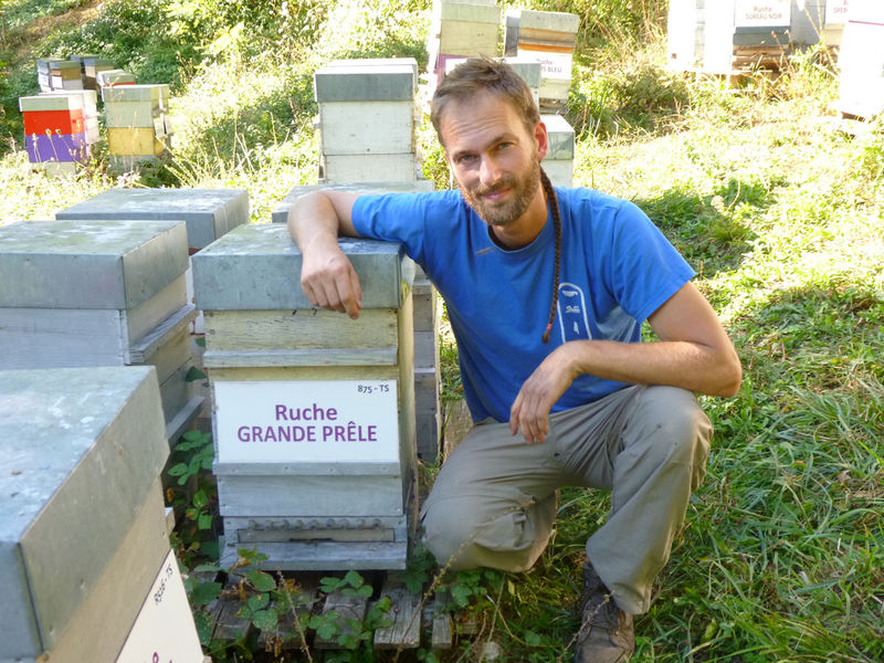 La ruche Grande prêle