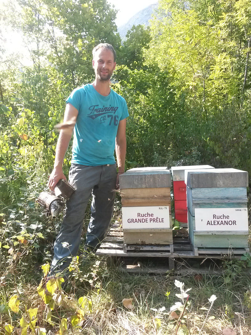 La ruche Grande prêle