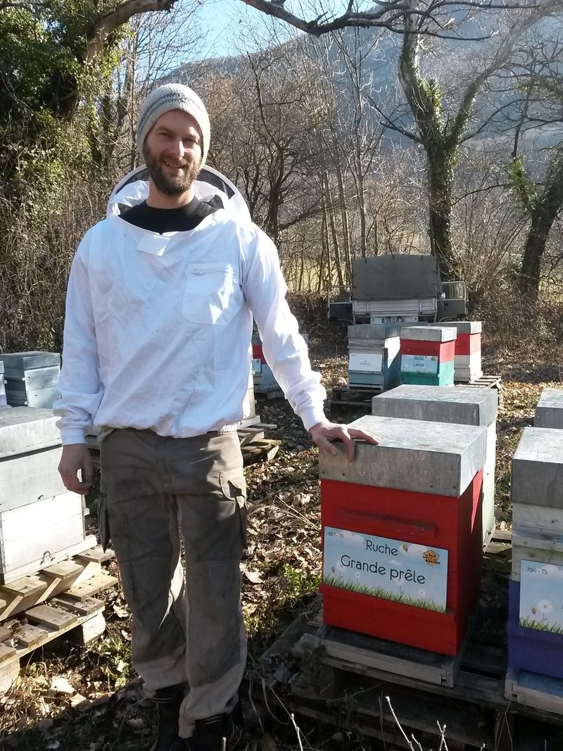 La ruche Grande prêle