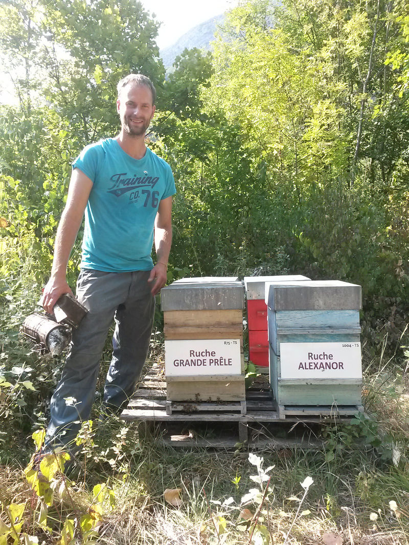 La ruche Grande prêle