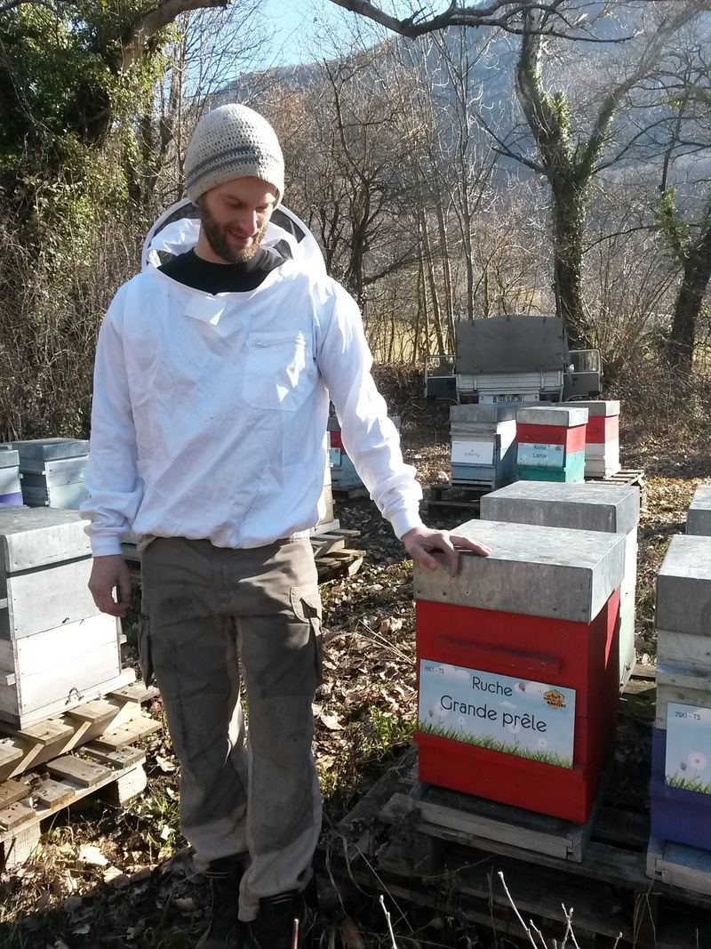 La ruche Grande prêle