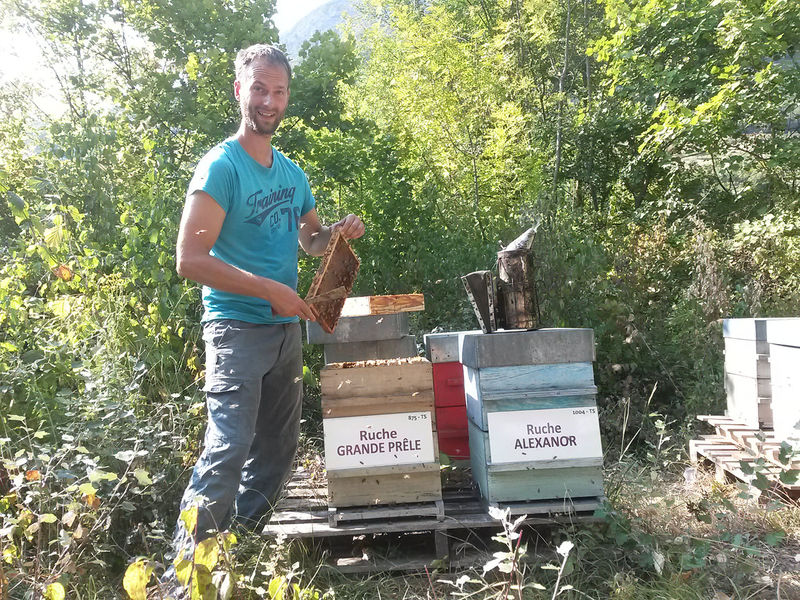 La ruche Grande prêle