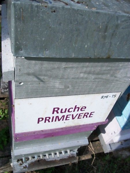La ruche Primevère