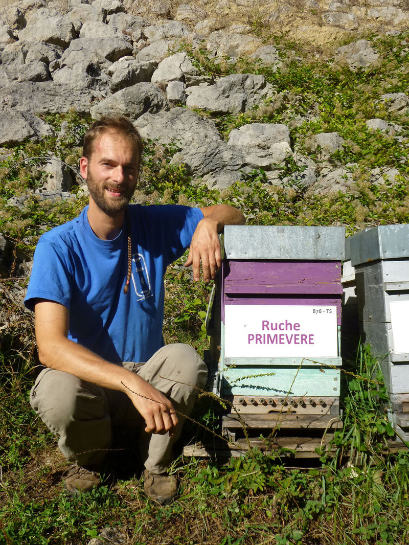La ruche Primevère