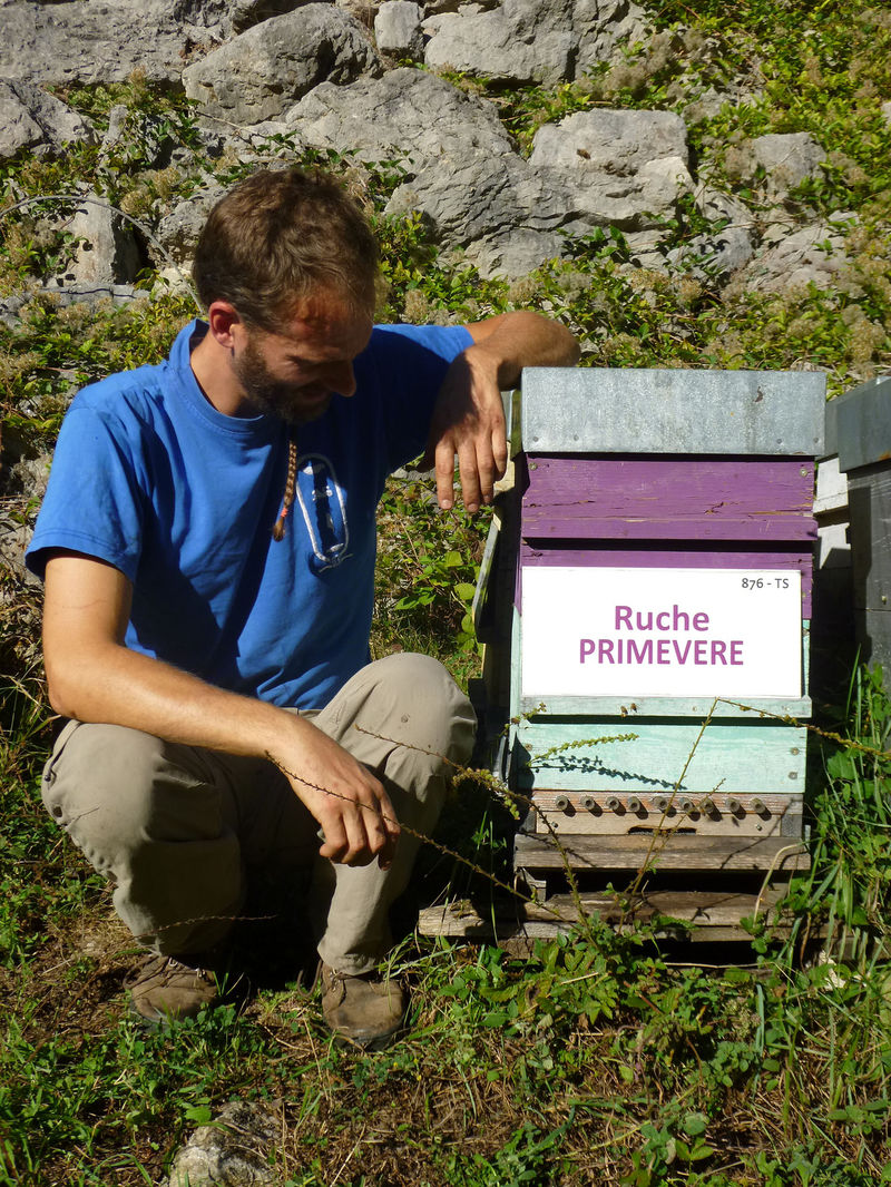 La ruche Primevère