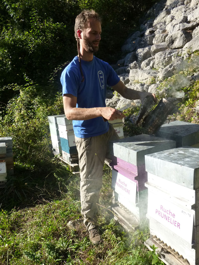La ruche Primevère