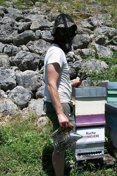 La ruche Primevère