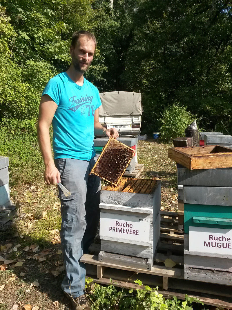 La ruche Primevère