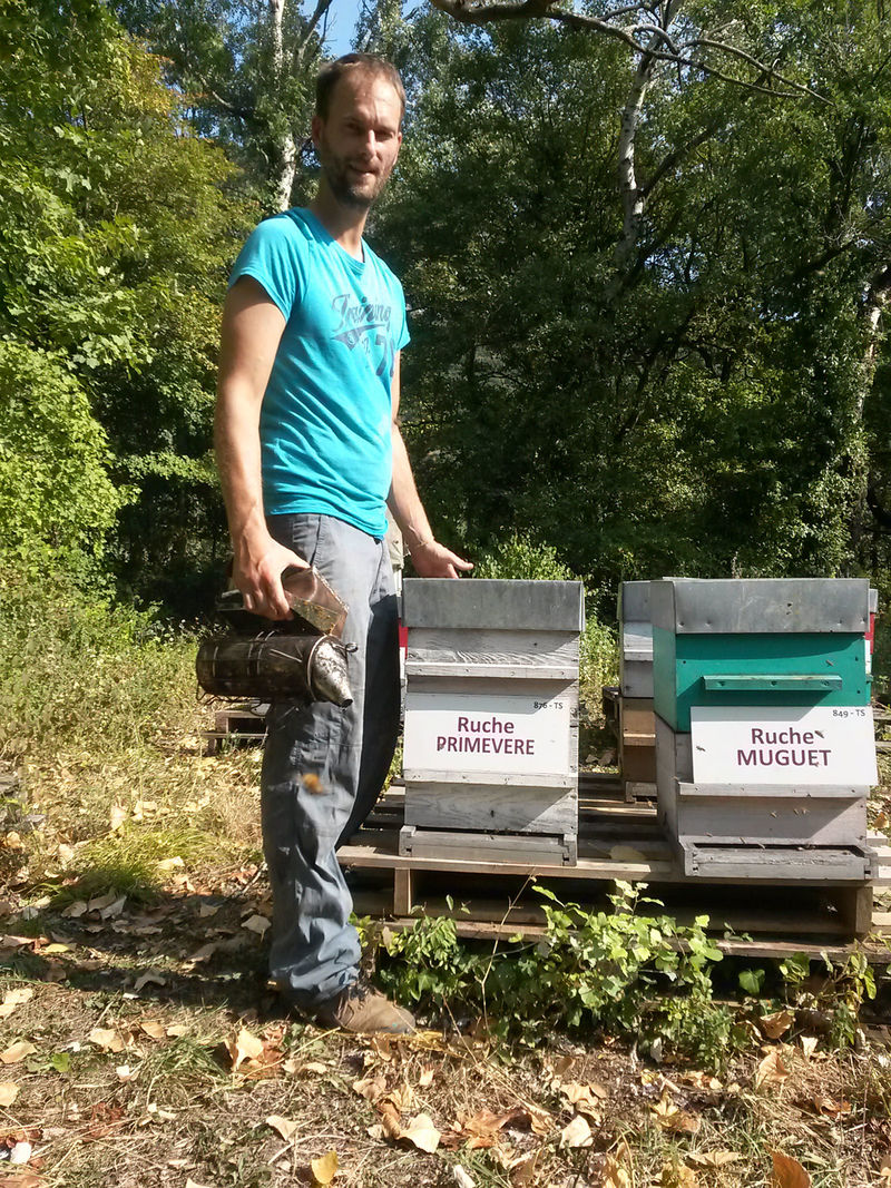 La ruche Primevère