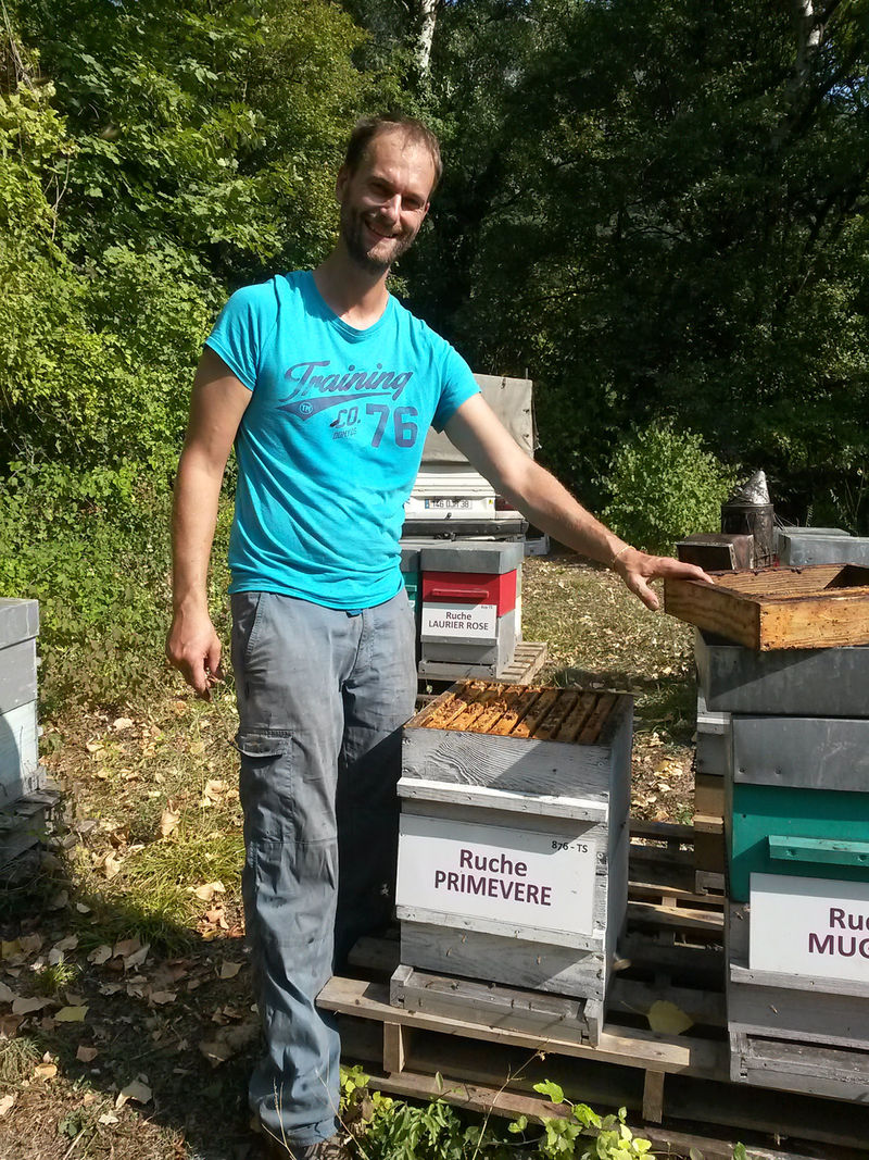 La ruche Primevère