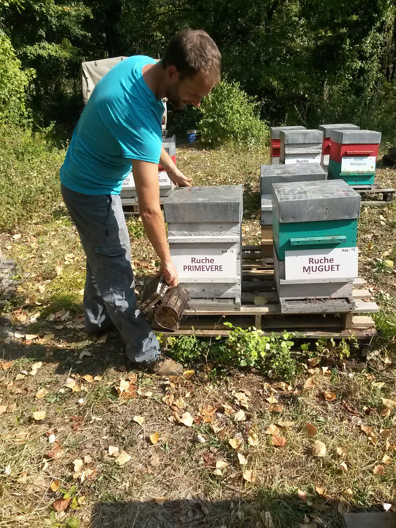 La ruche Primevère