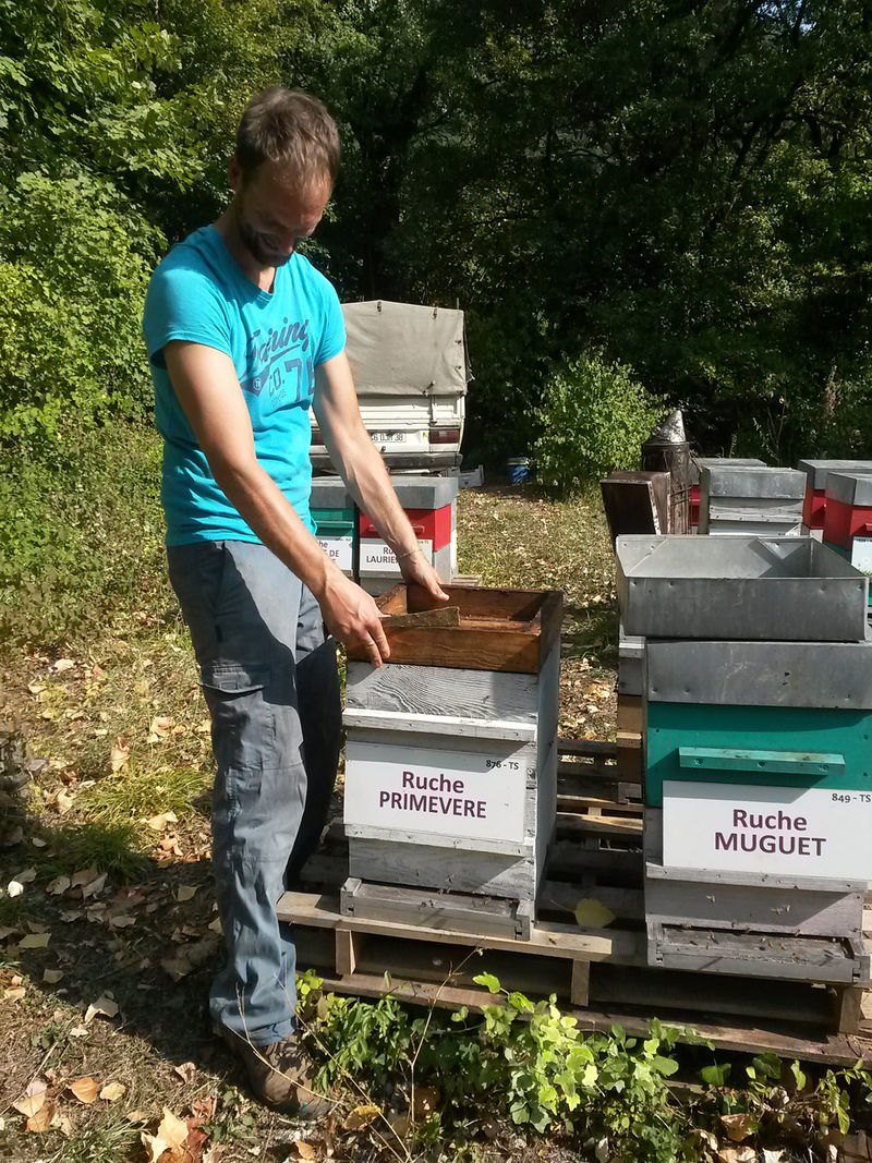 La ruche Primevère