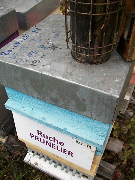 La ruche Prunelier