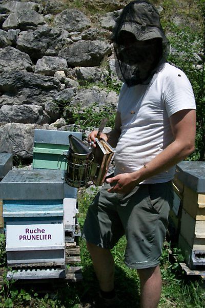 La ruche Prunelier