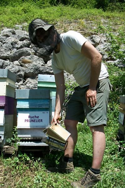 La ruche Prunelier