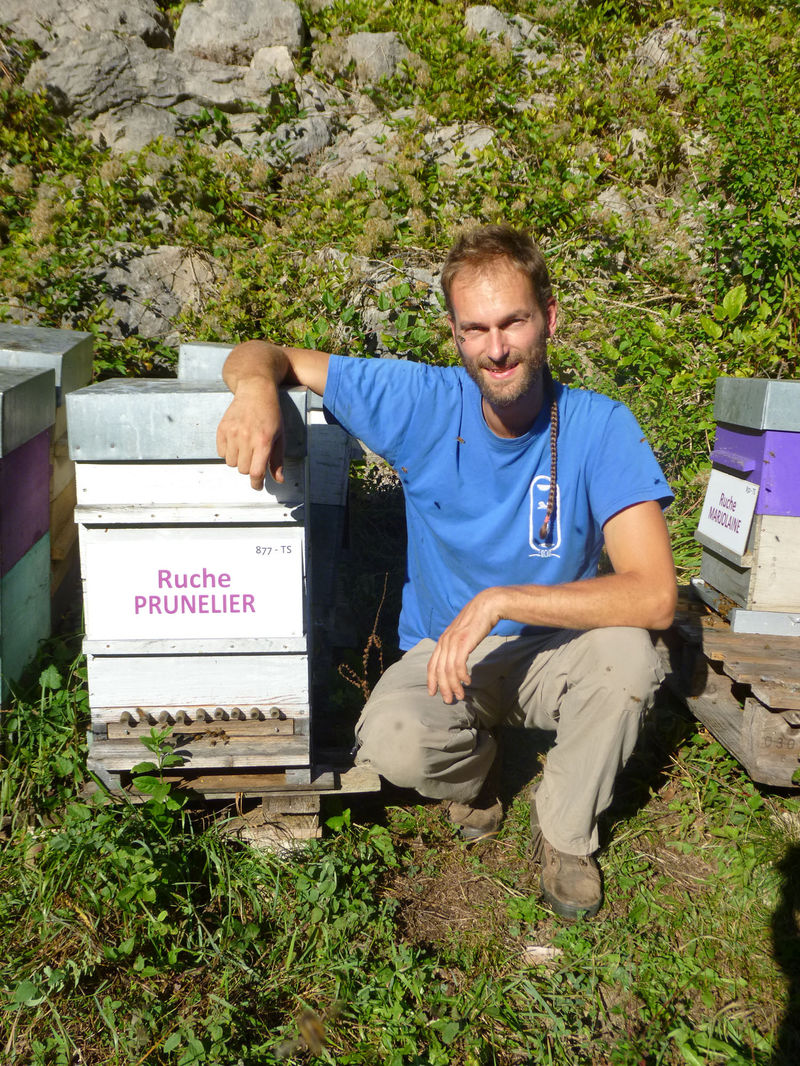 La ruche Prunelier