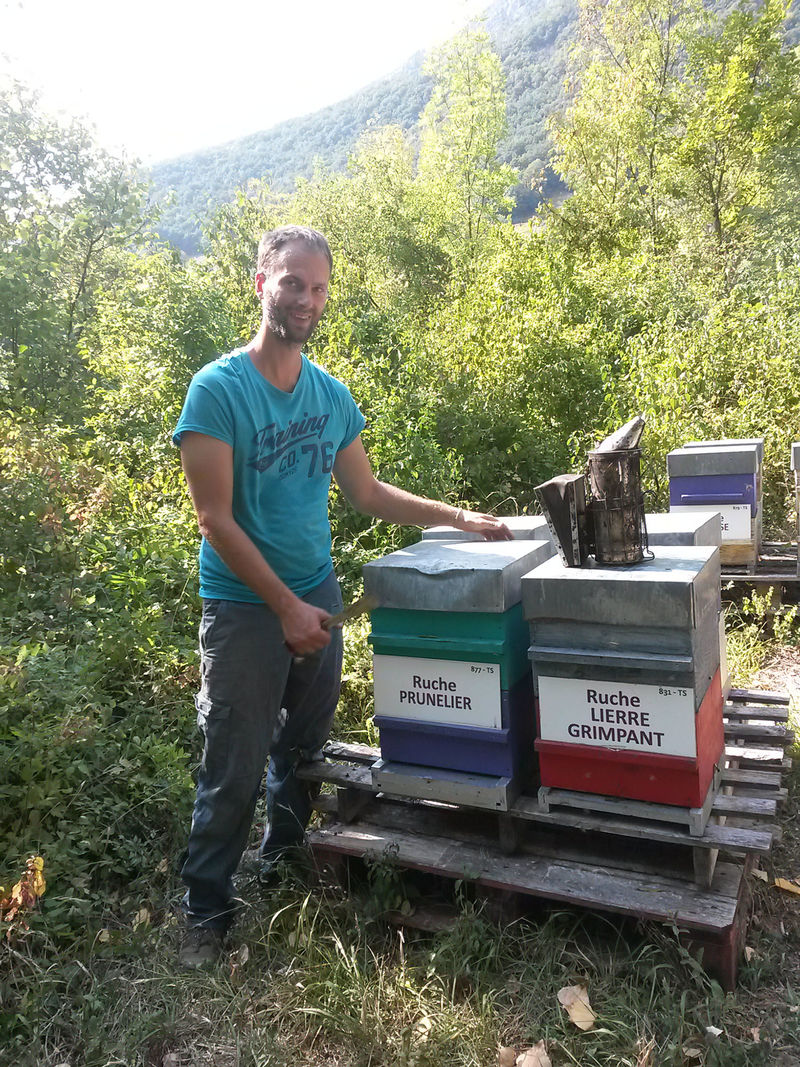 La ruche Prunelier
