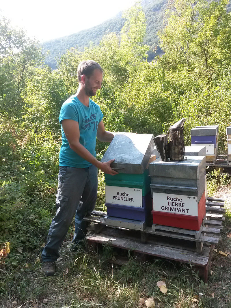 La ruche Prunelier