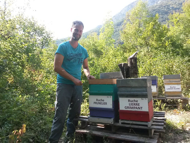 La ruche Prunelier