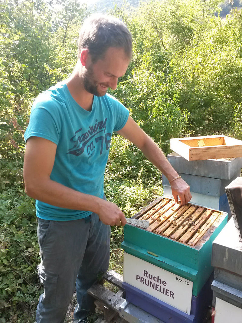 La ruche Prunelier