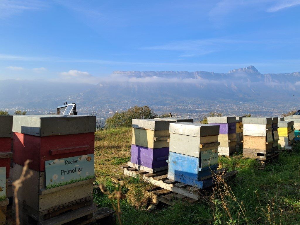 La ruche Prunelier