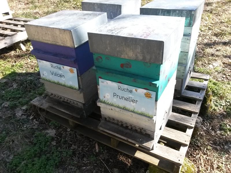 La ruche Prunelier